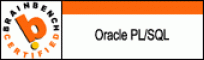 oracleprogrammer